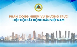 Phân công nhiệm vụ thường trực Hiệp hội Bất động sản Việt Nam