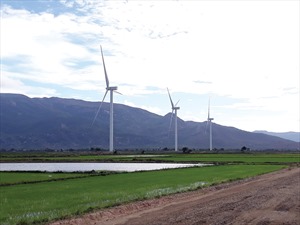 Điện gió: Kỳ vọng mới về năng lượng tái tạo của Việt Nam