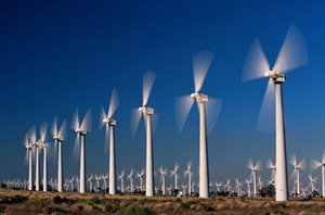 Biến đổi khí hậu không phải là mối nguy hại đối với năng lượng gió giá rẻ