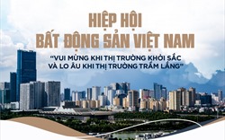 Hiệp hội Bất động sản Việt Nam “vui mừng khi thị trường khởi sắc và lo âu khi thị trường trầm lắng”