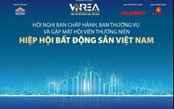 Hiệp hội Bất động sản Việt Nam tổ chức Hội nghị Ban Chấp hành, Ban Thường vụ và gặp mặt Hội viên thường niên 2023