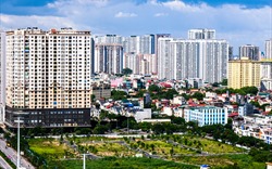 Hiệp hội Bất động sản Việt Nam lấy ý kiến hội viên về sửa đổi Luật Đất đai