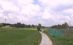 "Bát nháo" rao bán đất nền giá rẻ phía Nam: Người dân phải tự cảnh giác