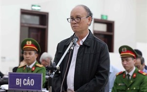 Ex-Danang leaders slapped long jail terms for illegal land transfers