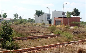 Land prices in Ho Chi Minh City seen stable in 2020-2024