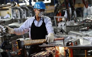New policies urged to remove roadblocks in privatizing Vietnam’s SOEs