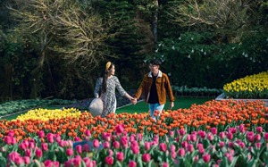 Sun World - Thiên đường cho các cặp đôi trong mùa yêu thương