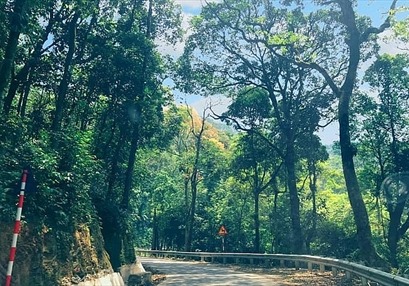 Vườn quốc gia Ba Vì: "Lá phổi xanh" của Thủ đô