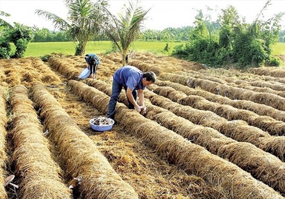 "Nâng hạng" chất lượng môi trường không khí: Xây dựng lối sống xanh