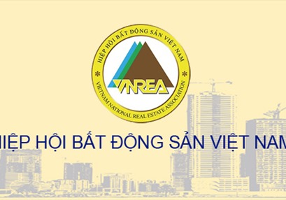 Điều lệ sửa đổi, bổ sung Hiệp hội Bất động sản Việt Nam