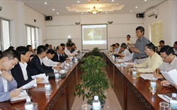 Hiệp hội Bất động sản Việt Nam làm việc với UBND tỉnh Khánh Hòa