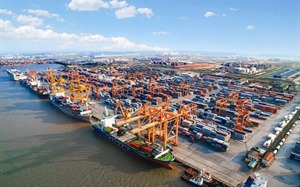 Two international container terminals to be built in Hai Phong