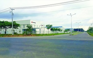 Bottlenecks block development of Southern Key Economic Zone