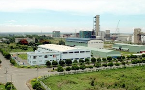 FDI inflow to Dong Nai province breaks target