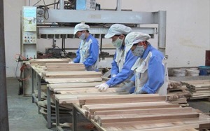 Ho Chi Minh City attracts US$6 billion in FDI in 10 months