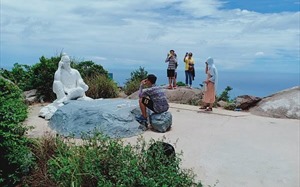 Multiple violations of land regulations on Danang's Son Tra Peninsula