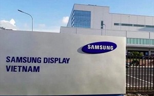 More foreign companies expand investment in Vietnam