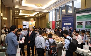 Megacities and challenges of ‘rethinking construction’