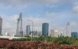 TP.HCM: Thanh tra phát hiện sai phạm về kinh tế hơn 1.220 tỷ đồng