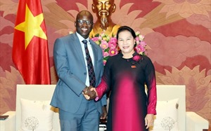 World Bank: Việt Nam có thể trở thành hình mẫu cho các nước đang phát triển