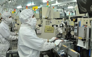 World Bank gợi ý các giải pháp để Việt Nam giảm cú sốc lớn về kinh tế