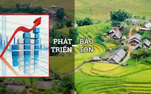 Từ Sa Pa không ký ức đến trăn trở của những miền cổ tích trong sương