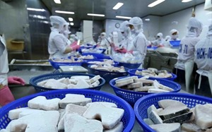 JICA: Việt Nam đang giữ vững nhịp độ tăng trưởng vượt trội