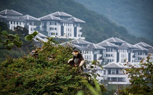 Tổng Giám đốc “Khu nghỉ dưỡng thân thiện với môi trường nhất thế giới 2018” chia sẻ những kế hoạch xanh